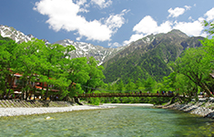 木橋 / 上高地 河童橋