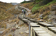 木道 / 白馬 黒菱