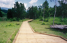 木道 / 乗鞍高原